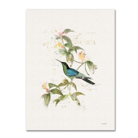Katie Pertiet 'Colorful Hummingbirds IV' Canvas Art,35x47